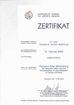 Zertifikat Hyaluron Filler 2025