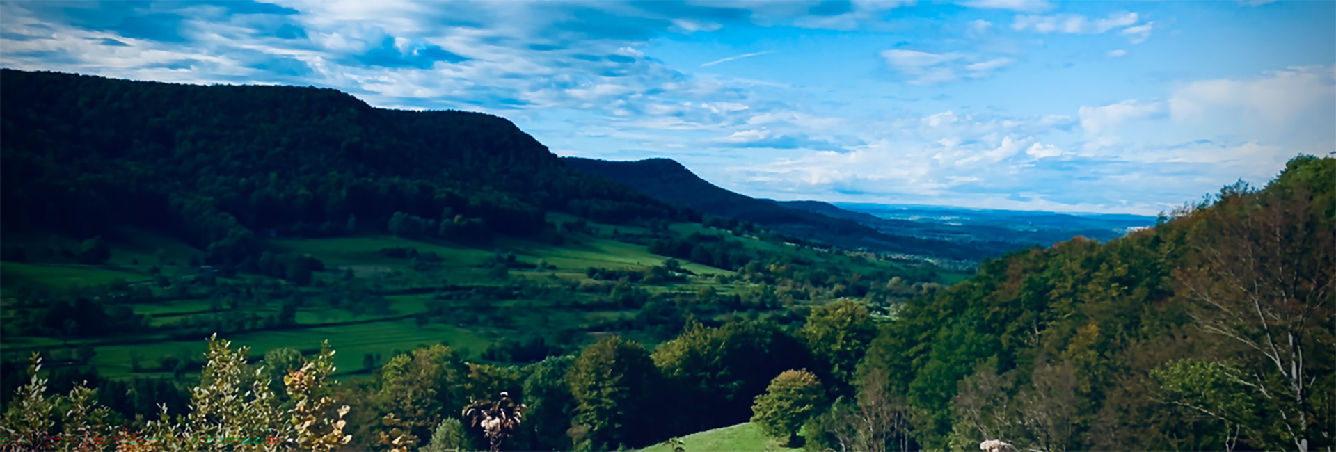 Steinlachtal